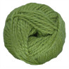 Vert clair