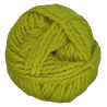 Jaune Vert 